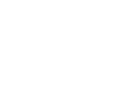 Google partner badge logo